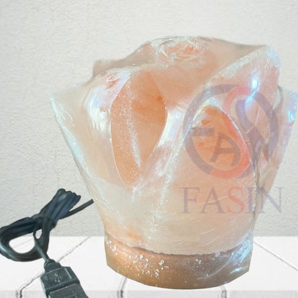 Himalayan Salt Lamps - Image 2